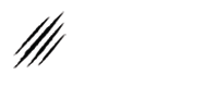 Monsters Ink | Shop Tattoo Supplies & Equipment | Free Delivery