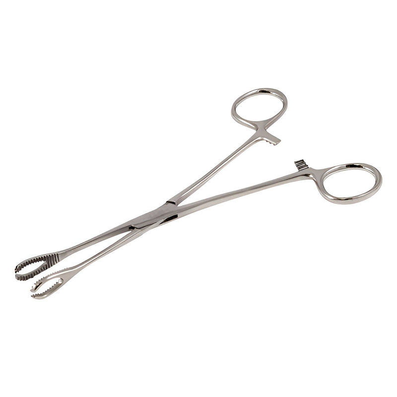 Foerster Forceps 18cm (Various Sizes)