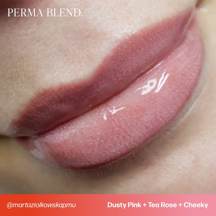Perma Blend Lip Pigment 15ml Cheeky