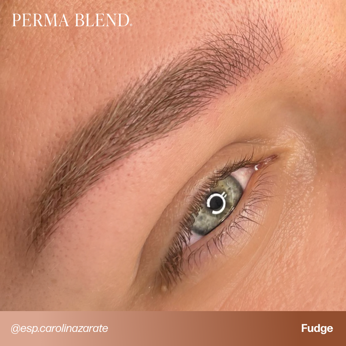Perma Blend Brow Pigment 15ml Fudge